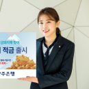 하면돼지 데일리안