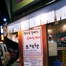왕마포갈매기