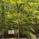 금바위저수지 | [애견동반등산] 북한산이 한눈에 보이는 뷰 좋은 경기도 양주 노고산