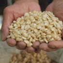 점리마을 이미지