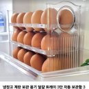 계란3단 트레이, 보관도 정리도 👍 이미지