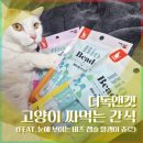 간식줄까? | 더독앤캣 고양이 짜먹는 간식 후기 (눈에 보이는 비즈 캡슐 알갱이 츄르)