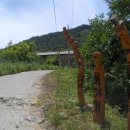 군장농원 이미지