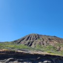 할로나 | 오아후 절경 명소: 라나이 전망대 Lanai Lookout & 할로나 블로우홀 전망대 Halona Blowhole Lookout 후기