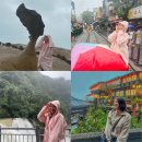 광영택시 | 대만 타이베이 가족여행 예스폭지 버스투어 렛미히어 추천후기