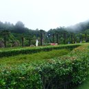 용천2리 이미지