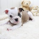 해피컨넬 이미지