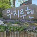 커피콩테라스 | 삼척 커피 맛집 우지루헨 가격,삼척 해수욕장 카페 신상 테라스정원 감성 우지커피 솔직후기