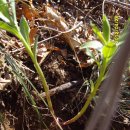 체력단련 이미지