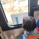 도담건강식품 이미지