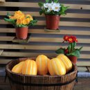 홍예민박 | 남자 친구를 보면서 20대 여행했던 기억이 떠올랐어요.