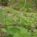 열린부동산 이미지