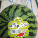 탑실로2L | [용인시 기흥 코스트코] 맛있는 음식이 가득한 코스트코 공세점 후기!!