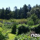 세명공인중개사사무소 이미지