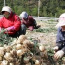 페르시아궁전 이미지