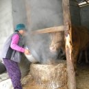 여물소 - 노원구 | 여물소