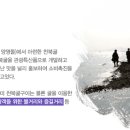 굴축제 이미지