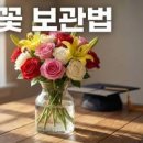 졸업식 꽃다발 보관법 꽃 오래 보관 방법 이미지
