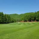 천지골프 이미지