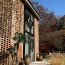 전주 근교 임실 대형카페 포레드노드 단풍뷰 후기
