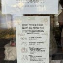 제주횟집 - 중구 번영로 329 | 제주 함덕횟집 “백록집” 솔직후기