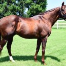 탑골목장 이미지