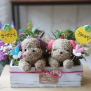 드봉펫살롱 이미지