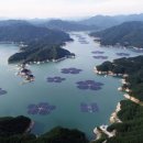 란 태양광발전소 이미지