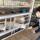 수안보농장 이미지