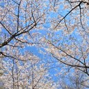서울 구 용산철도병원 본관(현 용산역사박물관) | [서울/용산] 파운드리 서울, 킷테, 용산역사박물관 + 탄천 벚꽃구경 (2025. 4. 11 ~ 12.)