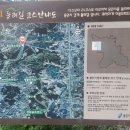 신대호수 휴게마당 네이버블로그
