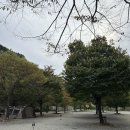 한터팜오토캠핑장 | 용인 한터팜오토캠핑장 2박3일 후기