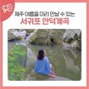 안덕면 감산리 재활용 도움센터 | 제주 여름을 미리 만날 수 있는 서귀포 안덕계곡