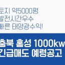 대천 태양광발전소 이미지