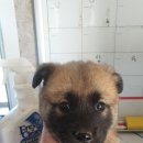 오금3리 이미지