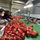 운봉농협 APC 이미지