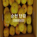 대봉상사