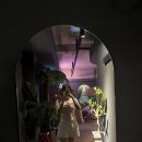 190 바(bar) 이미지