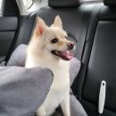 송천이화약국 이미지