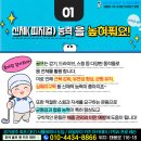 호야파크골프 이미지
