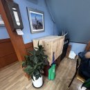 먹골집 | [영주] 복날 대비 누룽지 삼계탕 맛집 &#34;먹골집&#34; 후기