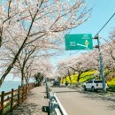 노량 해안도로길 이미지