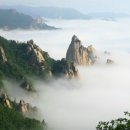 강남포차 이미지