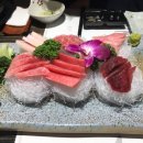 솔참치