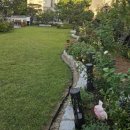 뽑기좋은날 이미지