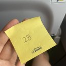 늘상 파티같은 삶과 여행 ✨ | 호텔더본제주-요트파티-요리바카-수산봉-놀맨-롯데시티호텔제주 etc. |