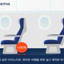33 이미지
