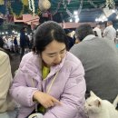 제이그루밍 이미지