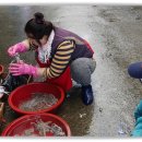 중앙선어시장 이미지