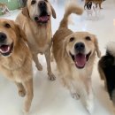 새마을 유치원 이미지